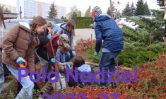 SZKOŁA PRZYJAZNA ŚRODOWISKU – galeria zdjęć wybranych wydarzeń z lat 2022-2024