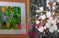 Dbamy o ziemie