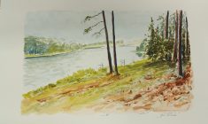 Sukcesy w konkursie plastycznym „O Warmio moja miła…” 2025