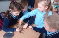EVJQ9069