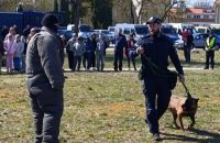 c9b2dd64-f64d-4398-86e6-ee2d314bb995