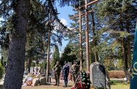 dc9505db-b926-4ccf-80c7-f6f48ae081ad