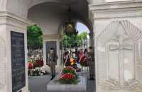 IJOV6798